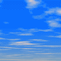Bingo Sky