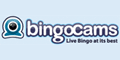BingoCams.co.uk
