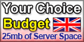 Your Choice Budget